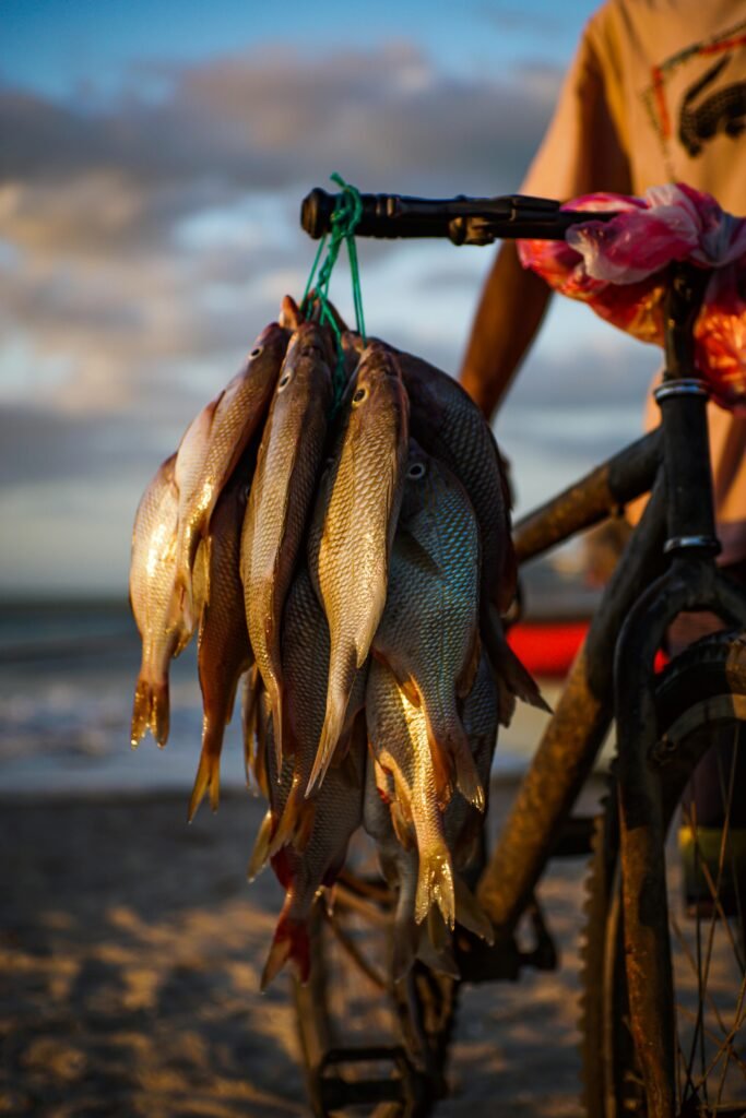 Pexels Edwin Guzman 313369163 13722160 683x1024